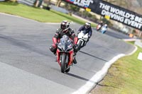 Oulton-Park-21st-March-2020;PJ-Motorsport-Photography-2020;anglesey;brands-hatch;cadwell-park;croft;donington-park;enduro-digital-images;event-digital-images;eventdigitalimages;mallory;no-limits;oulton-park;peter-wileman-photography;racing-digital-images;silverstone;snetterton;trackday-digital-images;trackday-photos;vmcc-banbury-run;welsh-2-day-enduro